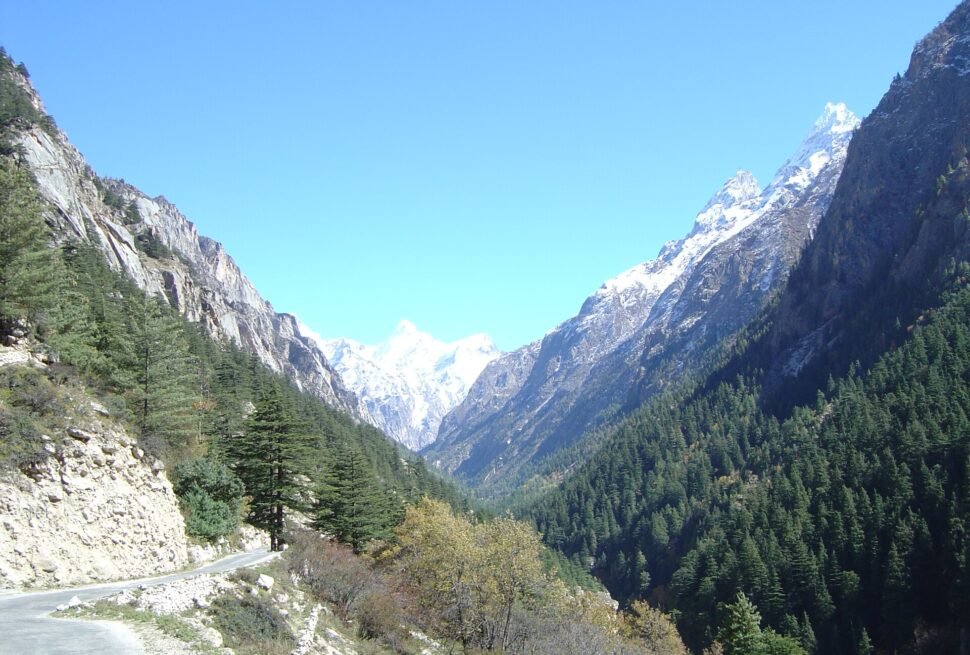 Gangotri valley, Uttarakhand